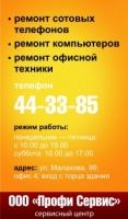 Сервисный центр «ООО Профи сервис», Барнаул
