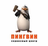 Сервисный центр «Пингвин», Иркутск